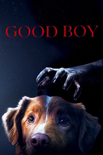Poster of Good Boy