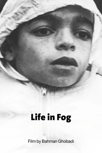 Poster of Life in Fog