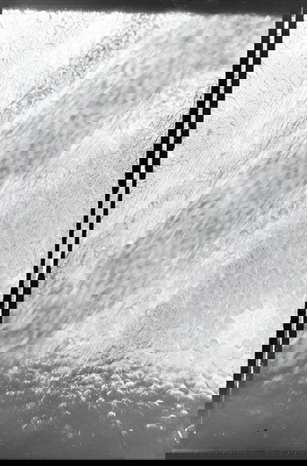 Poster of Déplacement des globules de sang dans un vaisseau capillaire