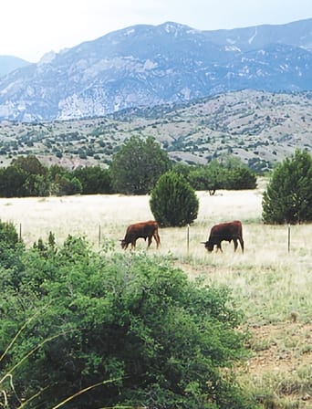 Poster of Whose Home on the Range?