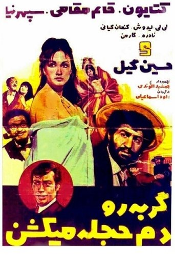 Poster of گربه را دم حجله می کشند