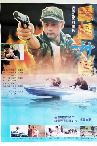 Poster of 霹雳神鹰