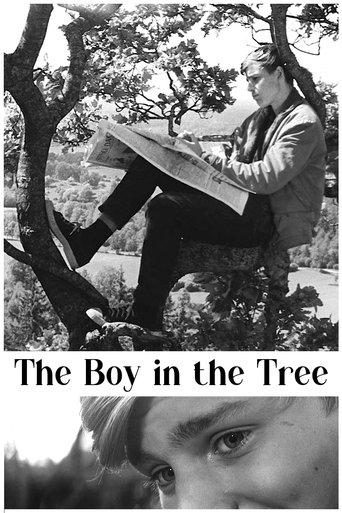 Poster of The Boy in the Tree