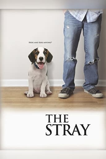 Poster of The Stray