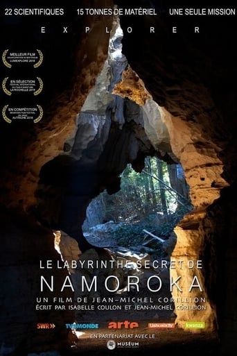 Poster of Le Labyrinthe secret de Namoroka