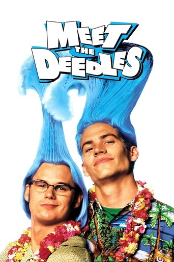 Poster of Meet the Deedles