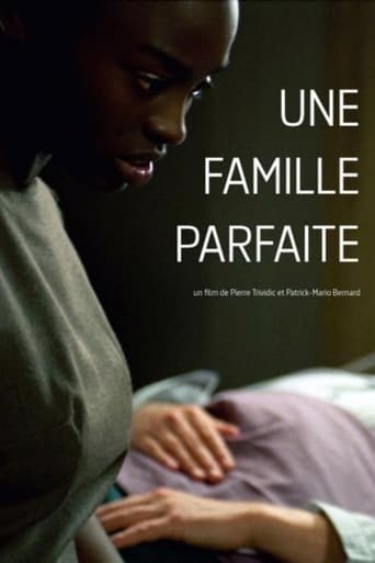 Poster of Une famille parfaite