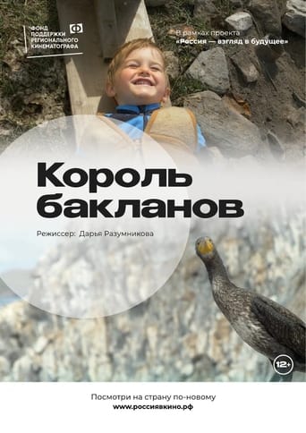 Poster of The King of Cormorants