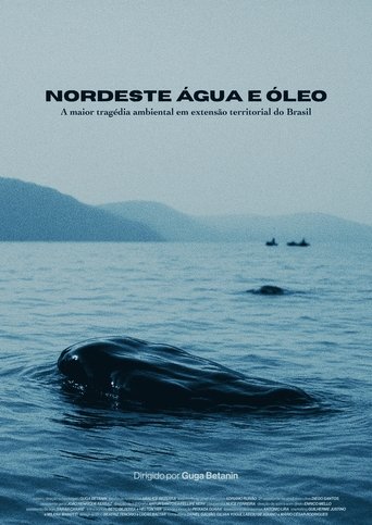 Poster of Nordeste Água e Óleo