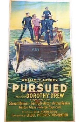 Poster of Pursued