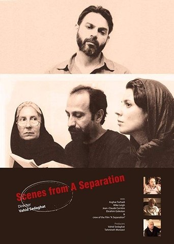 Poster of Scenes from A Separation