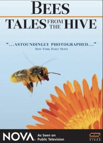 Poster of Bees - Tales from the Hive