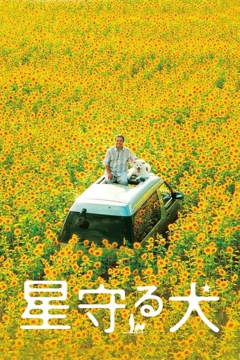 Poster of Star Watching Dog