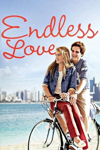 Poster of Endless Love