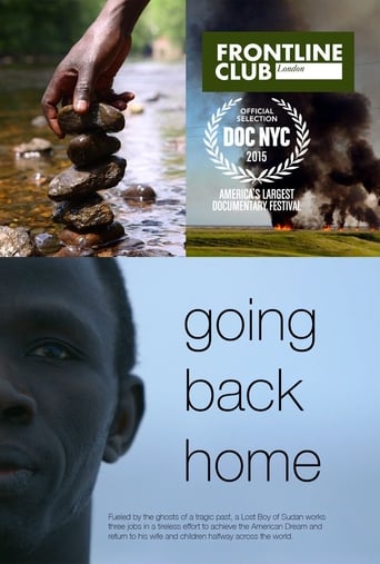 Poster of Going Back Home