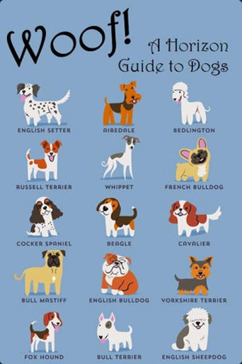 Poster of Woof! A Horizon Guide to Dogs