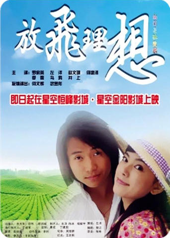 Poster of 放飞理想