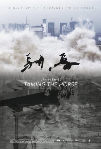 Poster of Taming the Horse