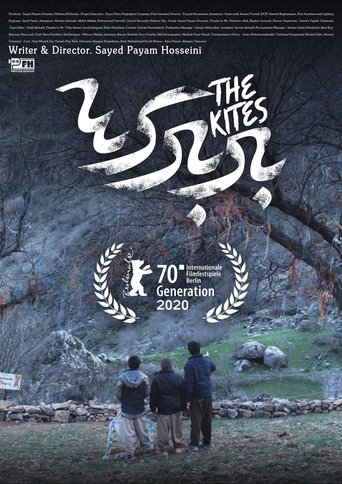 Poster of The Kites