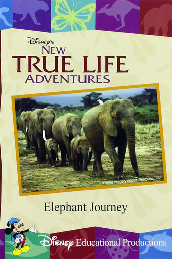 Poster of Elephant Journey