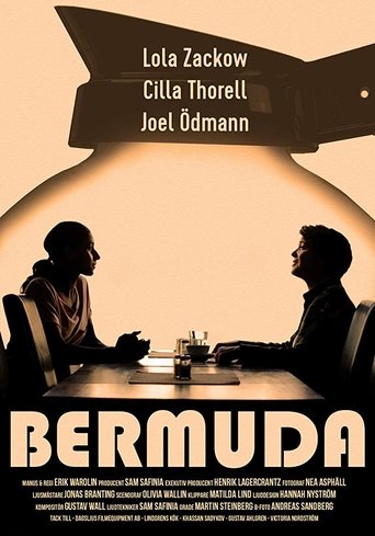 Poster of Bermuda