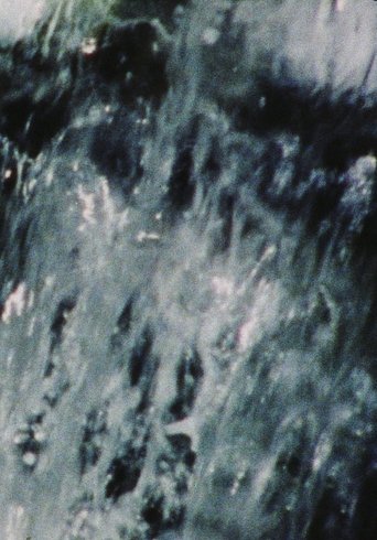 Poster of A Rain of Roses (To Rose Lowder)