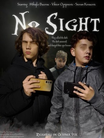 Poster of No Sight