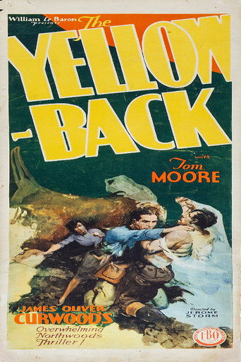 Poster of The Yellowback