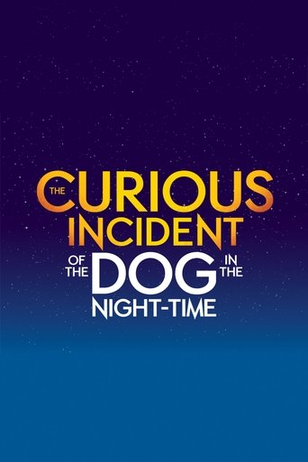 Poster of The Curious Incident of the Dog in the Night-Time