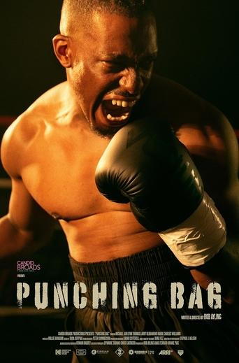 Poster of Punching Bag