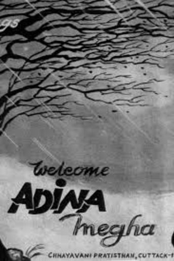 Poster of Adina Megha