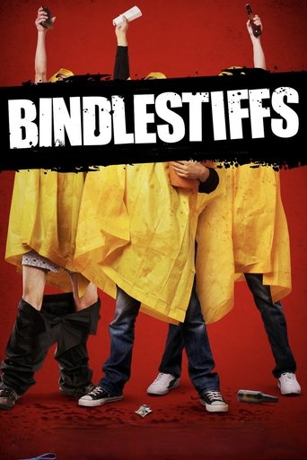 Poster of Bindlestiffs