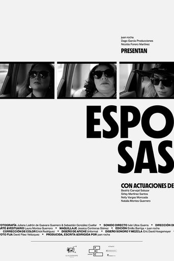 Poster of Esposas