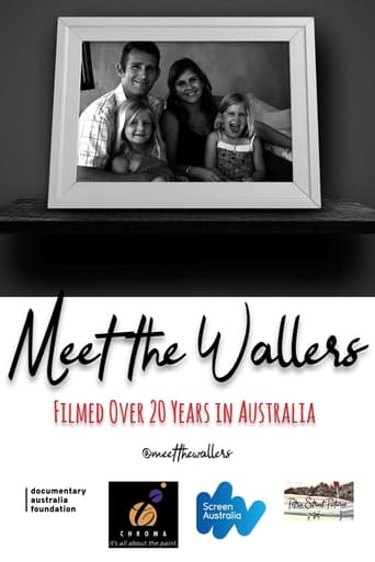 Poster of Meet the Wallers