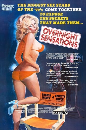 Poster of Overnight Sensation