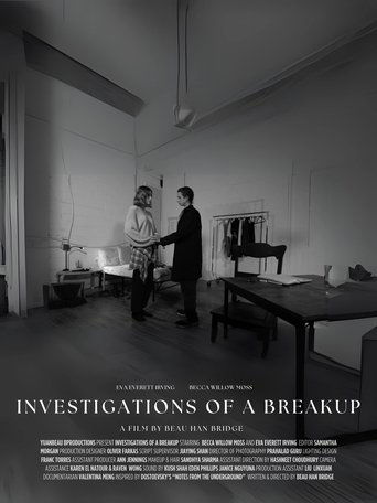 Poster of Investigations of a Breakup