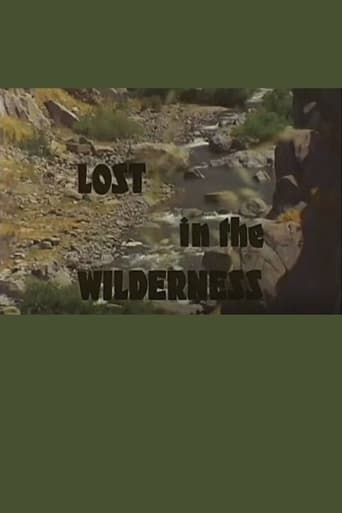 Poster of Lost In The Wilderness