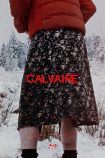 Poster of Calvaire
