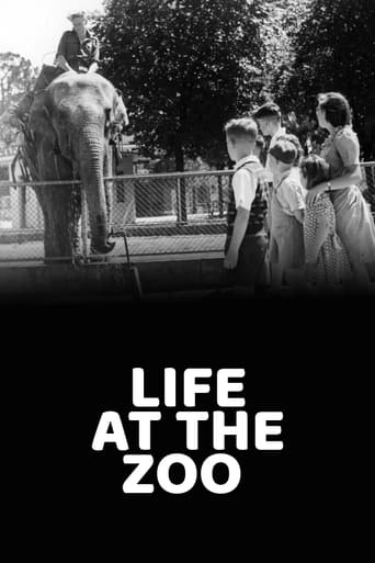 Poster of Life at the Zoo