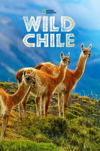 Poster of Wild Chile