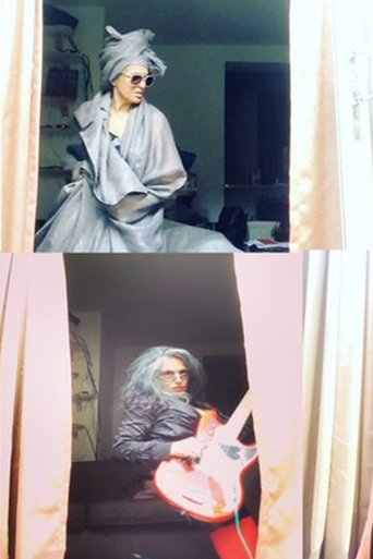 Poster of The Window Appearances