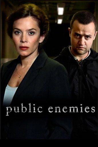 Poster of Public Enemies