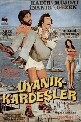 Poster of Uyanık Kardeşler