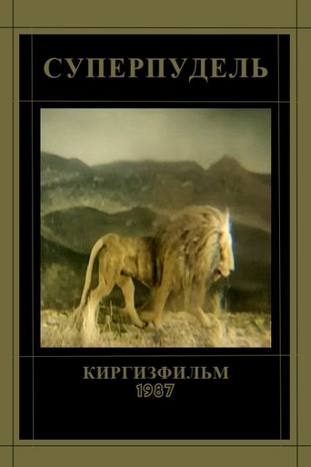 Poster of Superpoodle