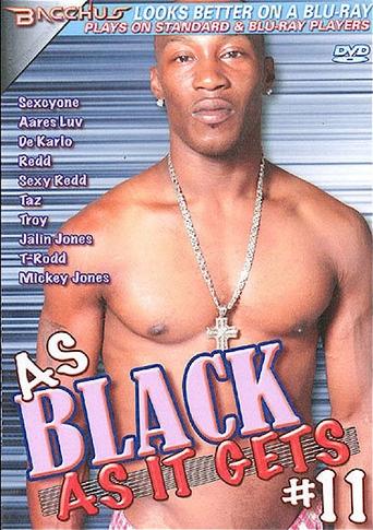 Poster of As Black as It Gets 11