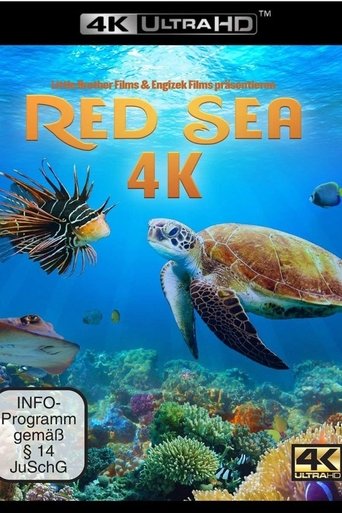 Poster of Red Sea