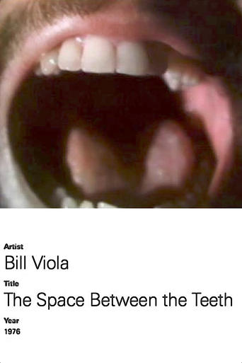 Poster of The Space Between the Teeth