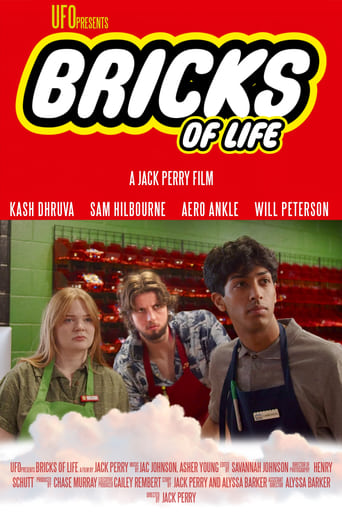 Poster of Bricks of Life