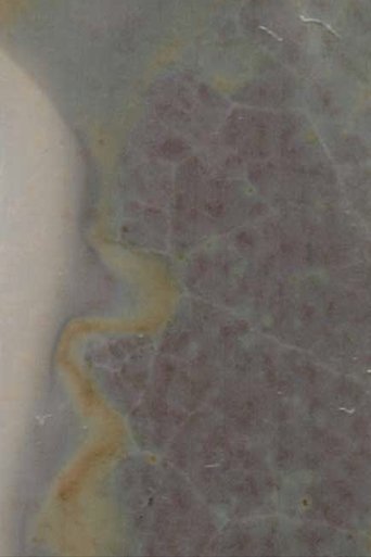 Poster of Dead See
