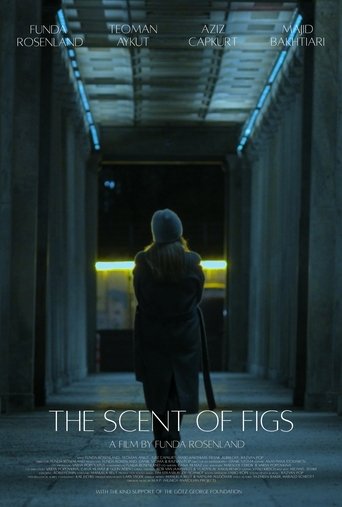 Poster of The Scent of Figs